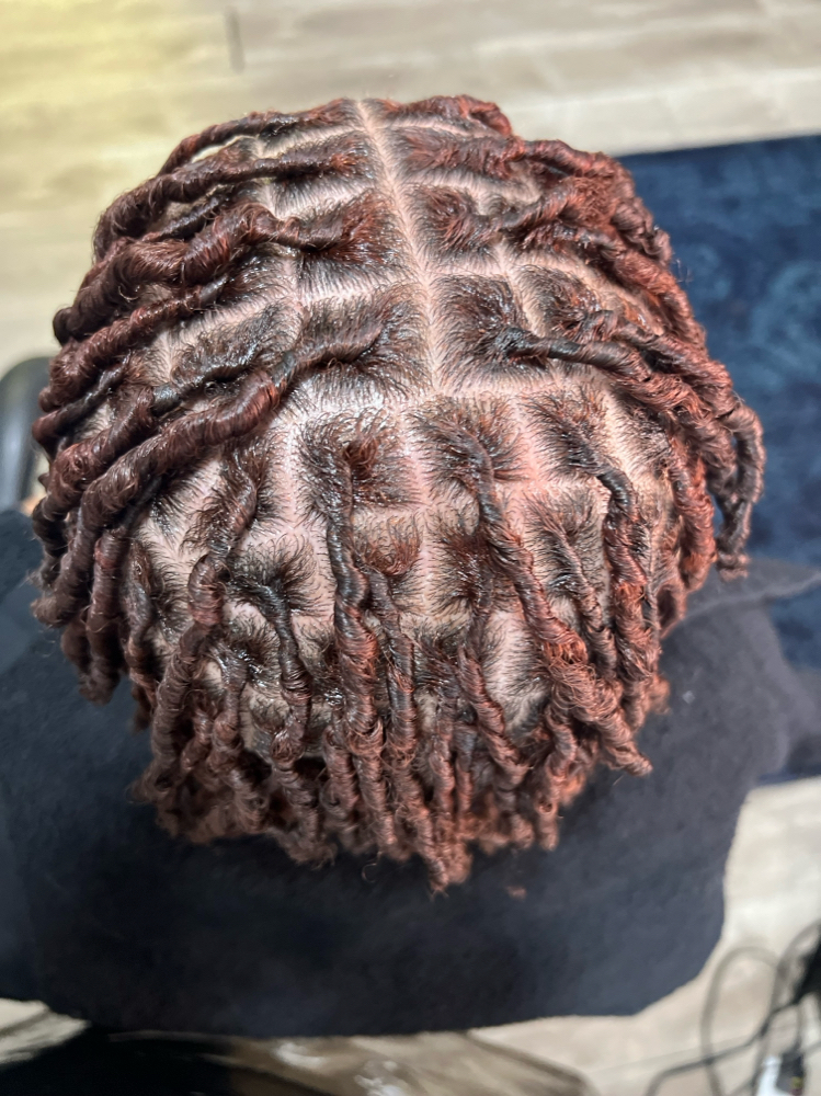 Starter Locs