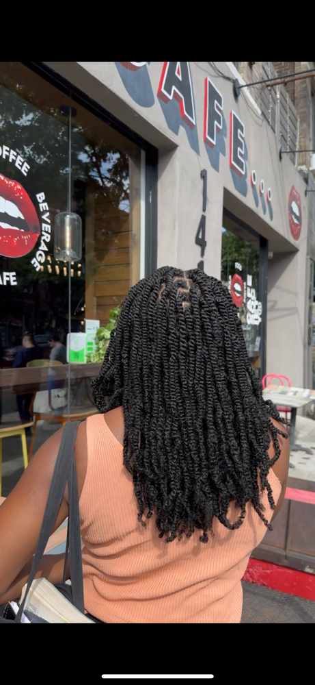 Mini Twists