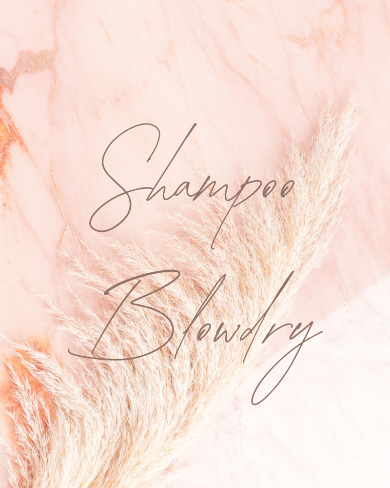 Shampoo Blowdry