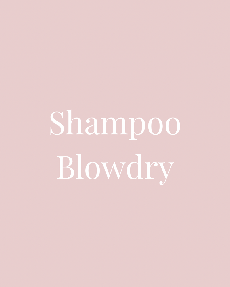 Shampoo Blowdry at Abi Kate Hair in Statesville, NC