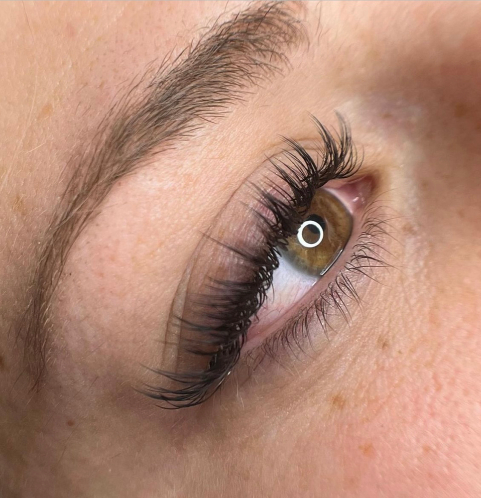 Classic Lashes