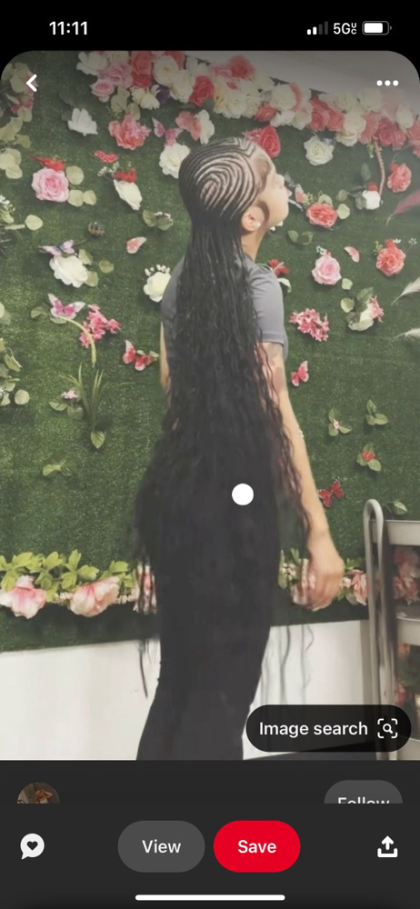 Alicia Keys Braids With Humain Hair