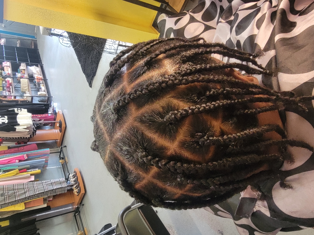 Various Braids And Styles (Box )