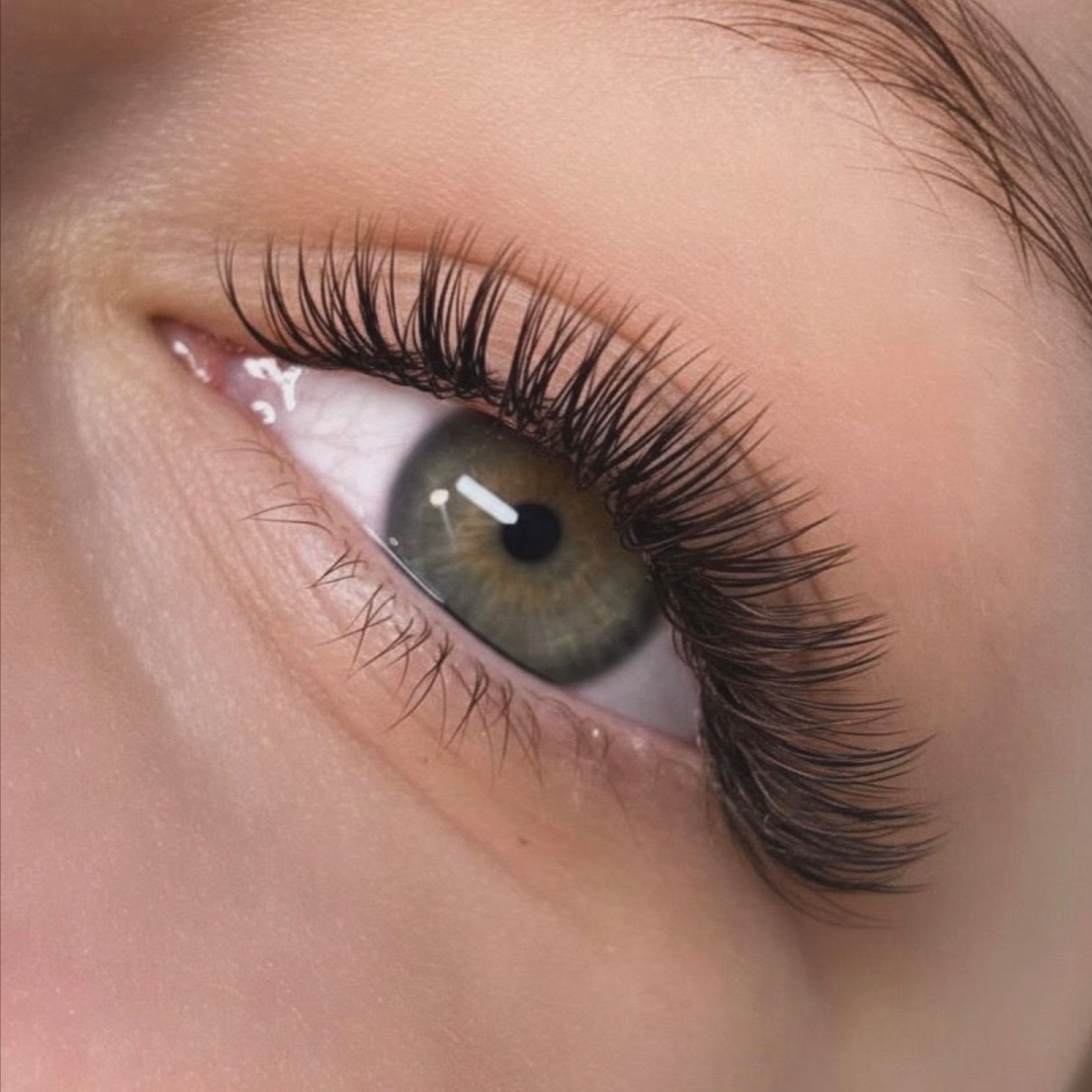 New Client Fill (Foreign Fill) at Bare Studio in Cedar Park, TX