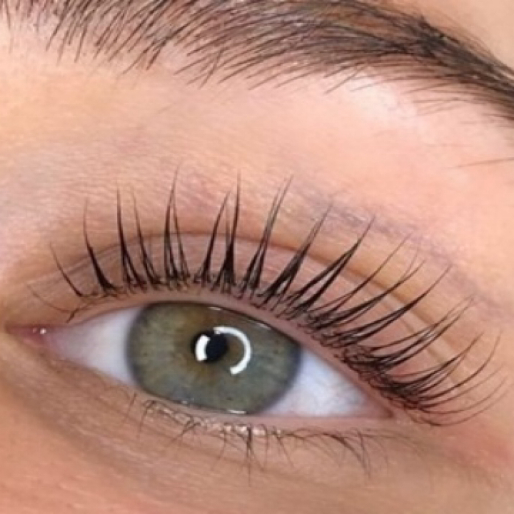 Lash Lift + Top Tint at The Beauty Collective in Peabody, MA