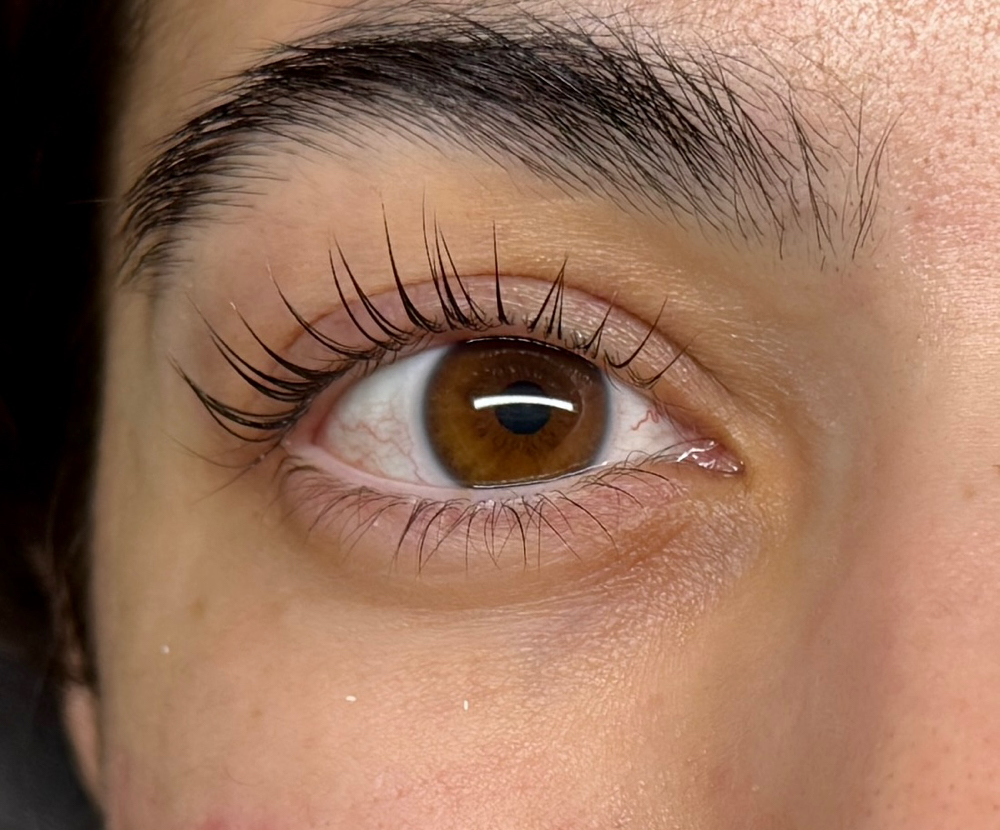 Korean Lash Lift