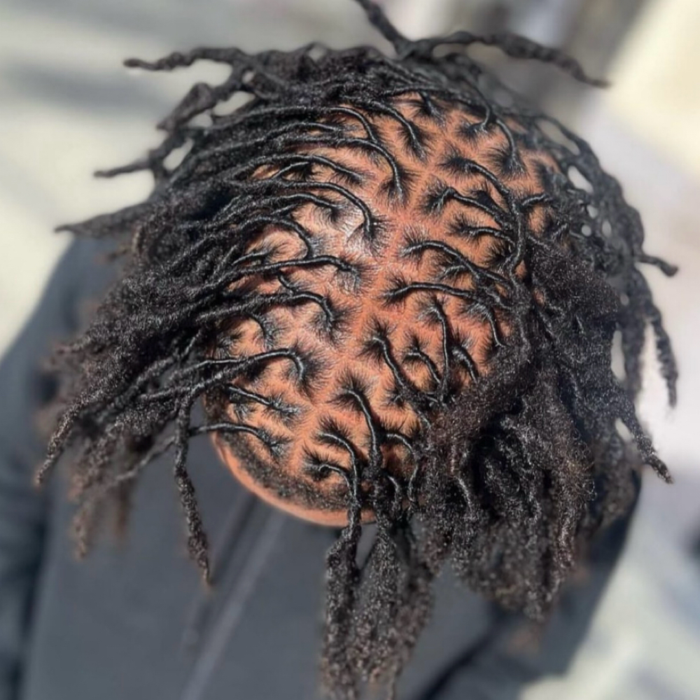 Loc Bath & Retwist Only (Half Head) at Icey Locs in Inglewood, CA