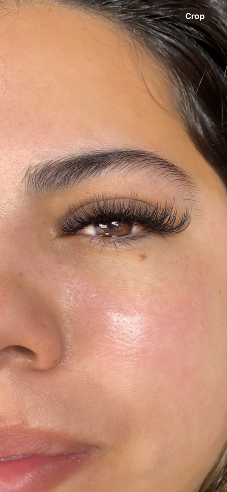 Hybrid Full Set at Signature Lash Artistry in Chino Hills, CA