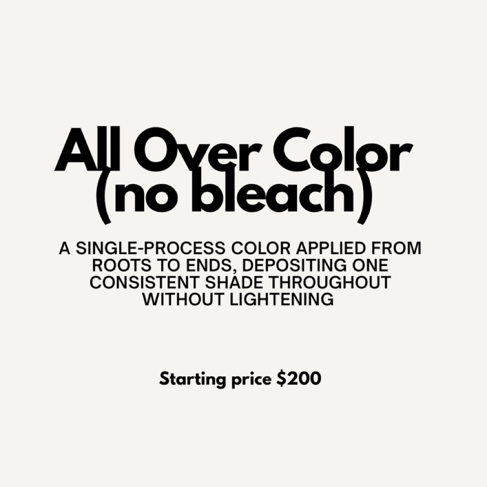 All Over Color (NO BLEACH) at Salon Céleste in Portland, OR