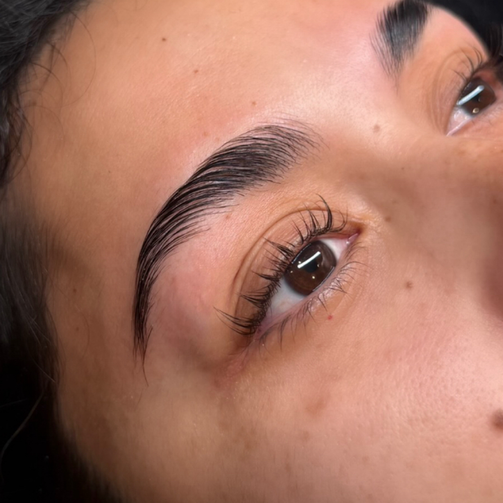 Lash & Brow Bundle (read info) at Lashes By Hayley in Ankeny, IA