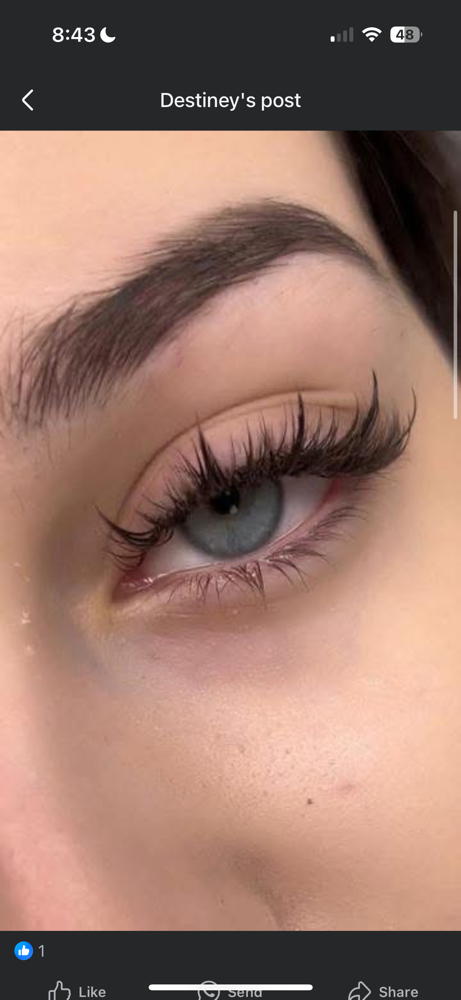 3 Lash Fills and facial