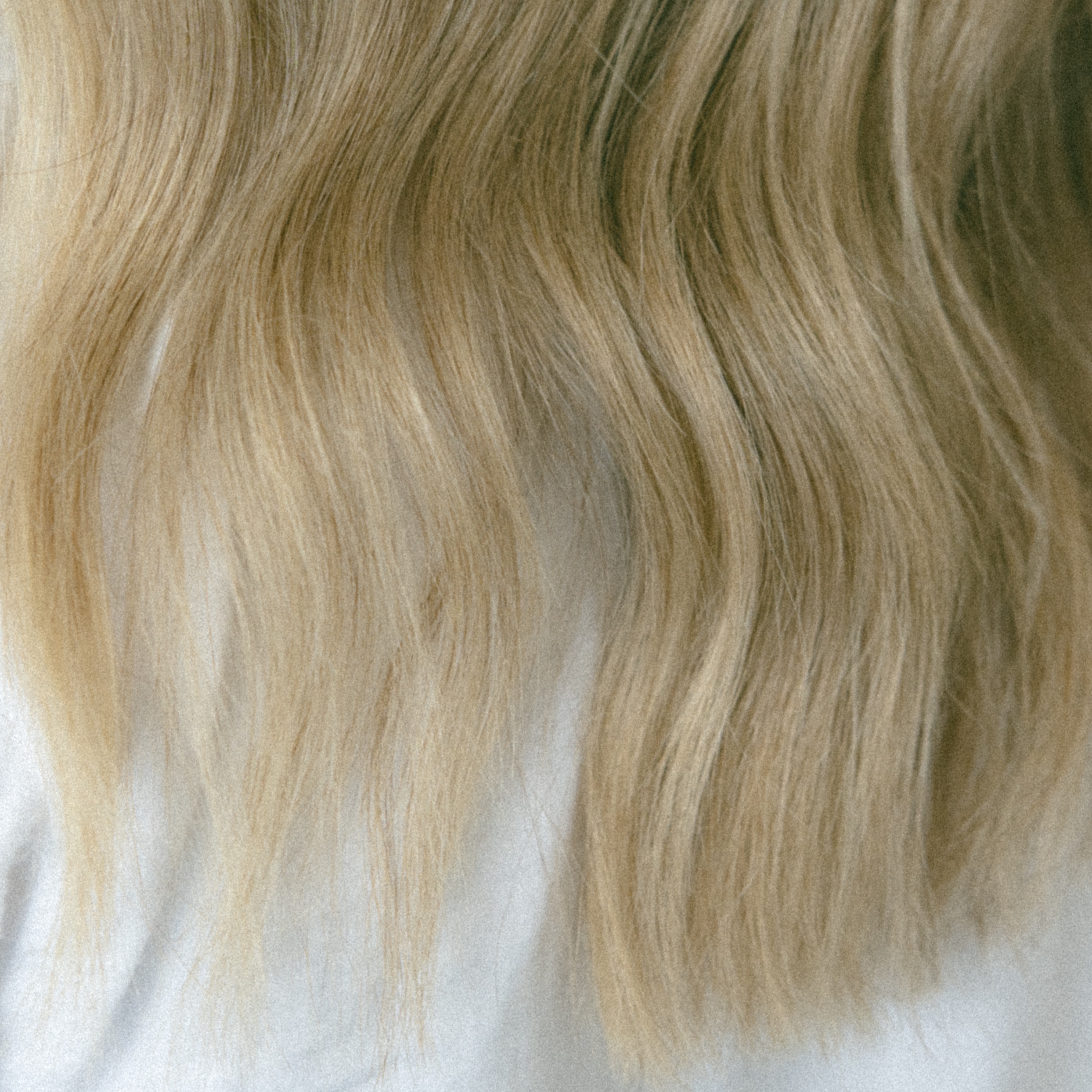 Half Customized Lived in Color at Cedar & Coast Salon in Madison, WI