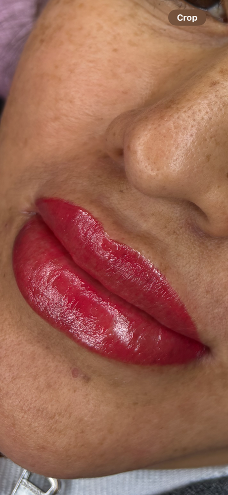 Lip Blush 6-8 Week Touch up at Lupita’s Brow Bar LLC in Roswell, GA