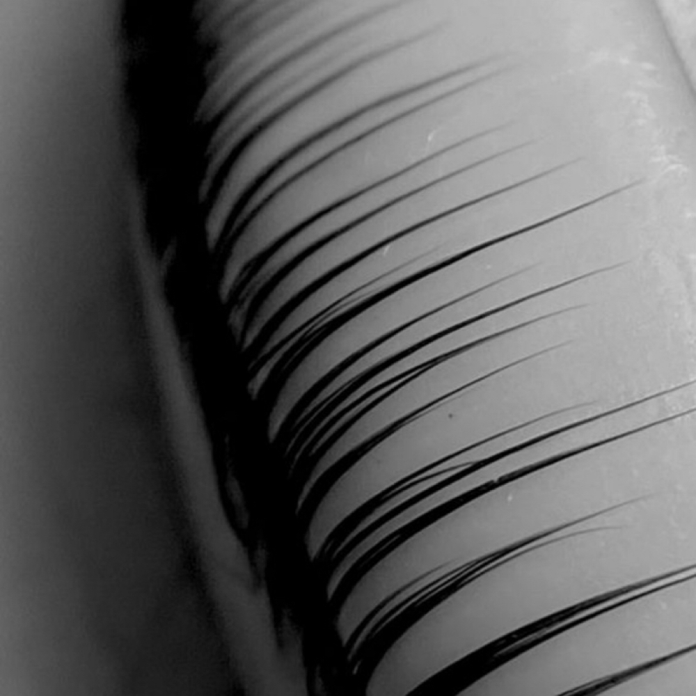 *New Guest* - Lash Lift + Tint at Moss & Blade in Sarasota, FL