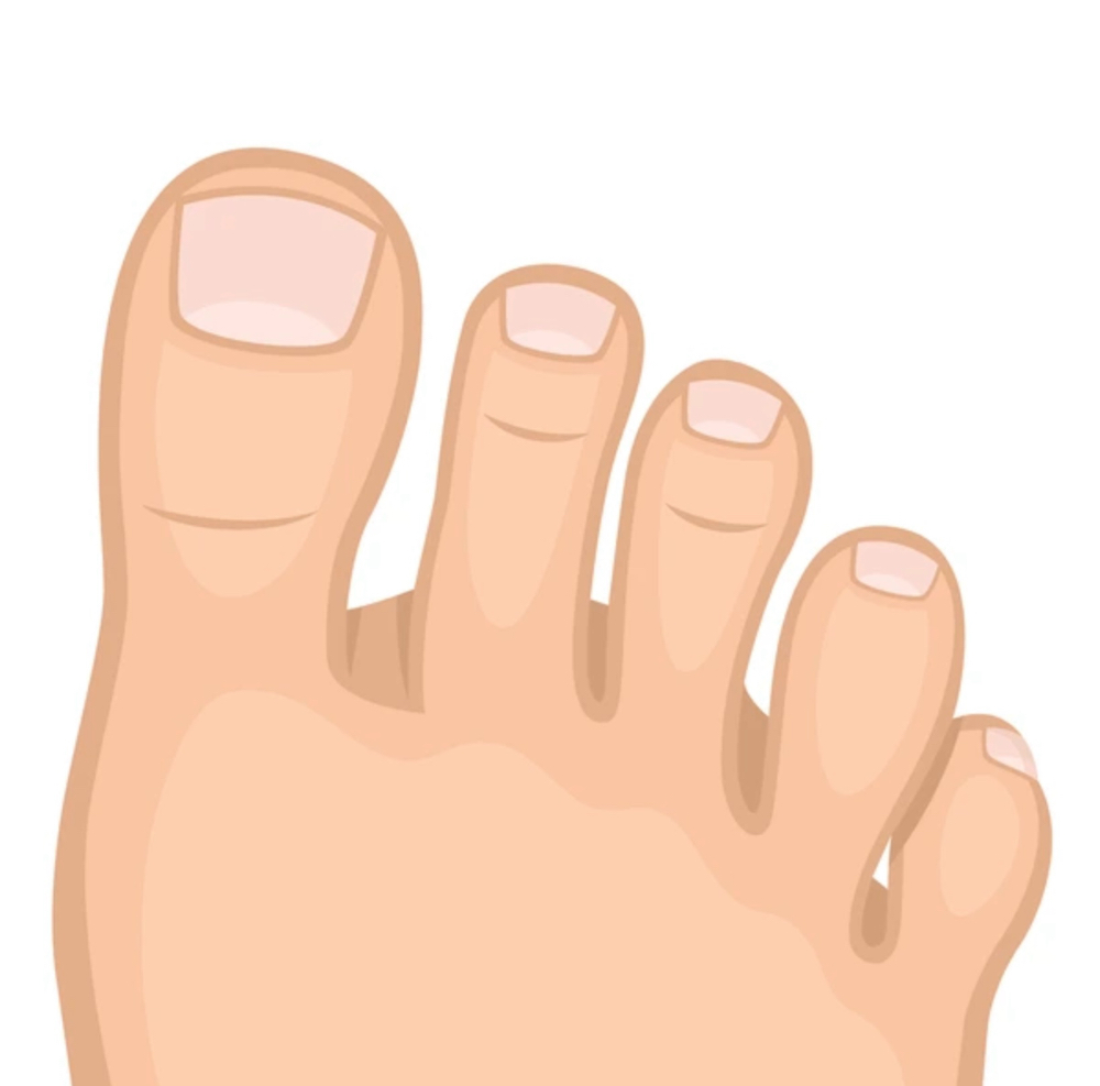 Toe Nail Trim (No Polish)