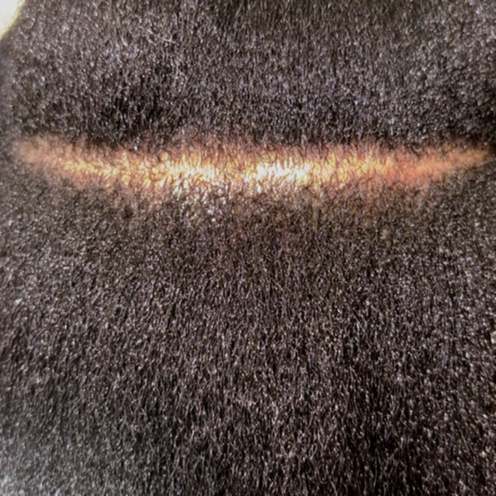 Exfoliation Detox Treament at Quiana Brown in South Orange, NJ