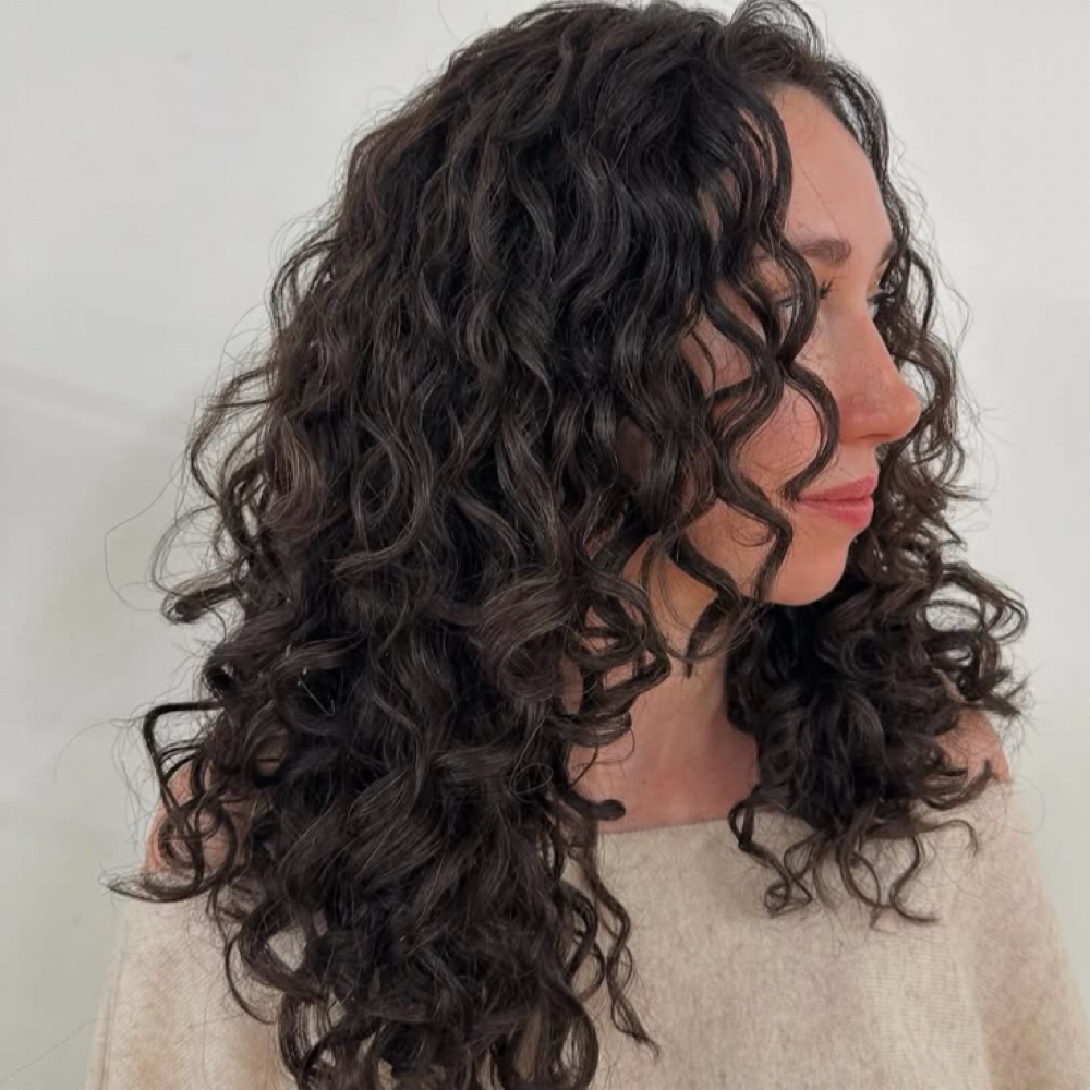Curly Cut at Chic El Salon in charlotte, NC