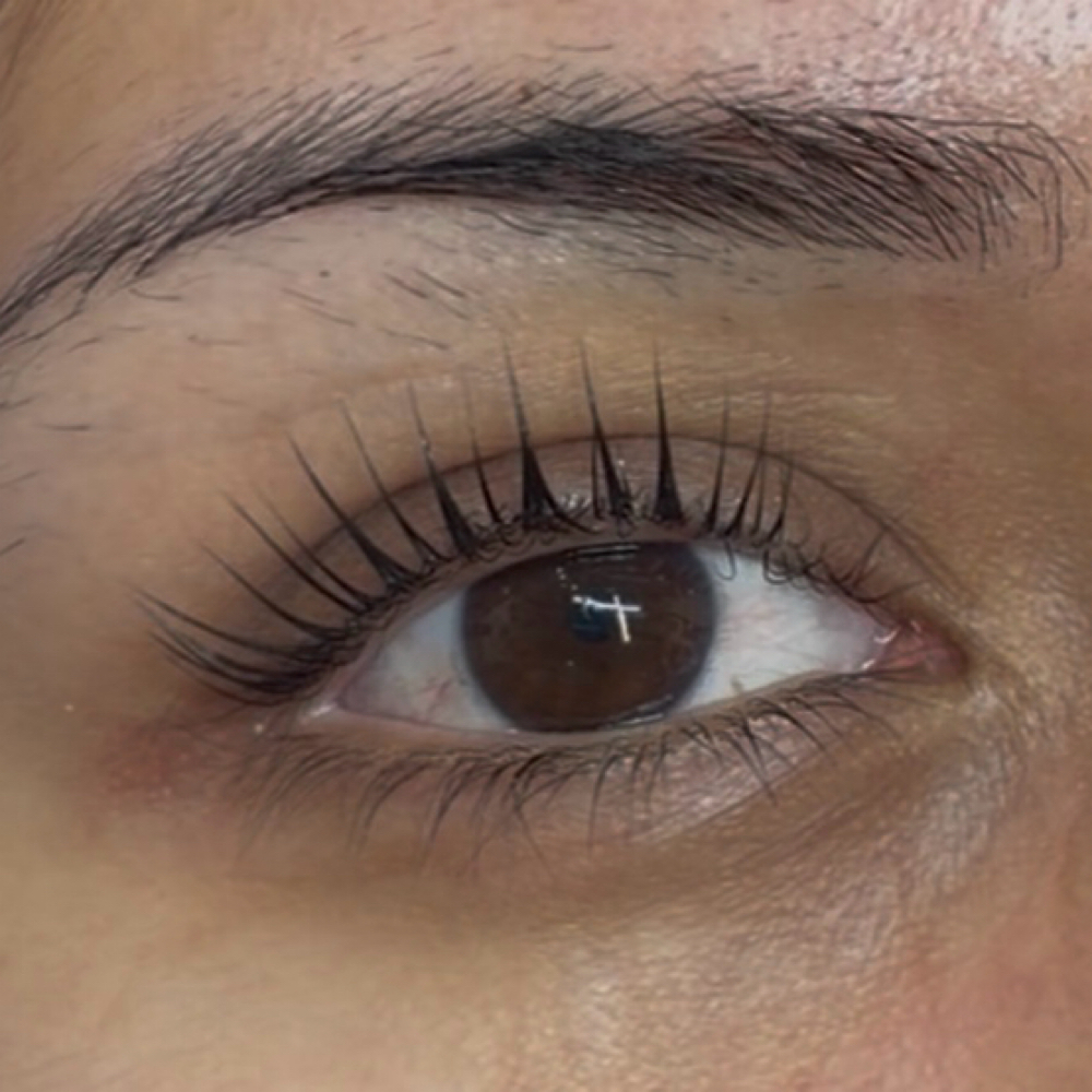 Korean Lash Lift June at Slayed.bySuzy Studio in Whittier, CA