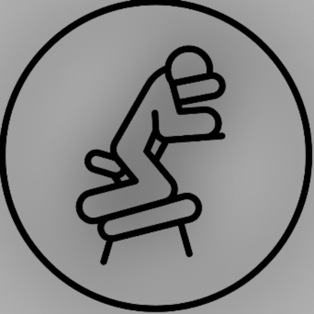 MOBILE CHAIR MASSAGE ( 4 ur biz)