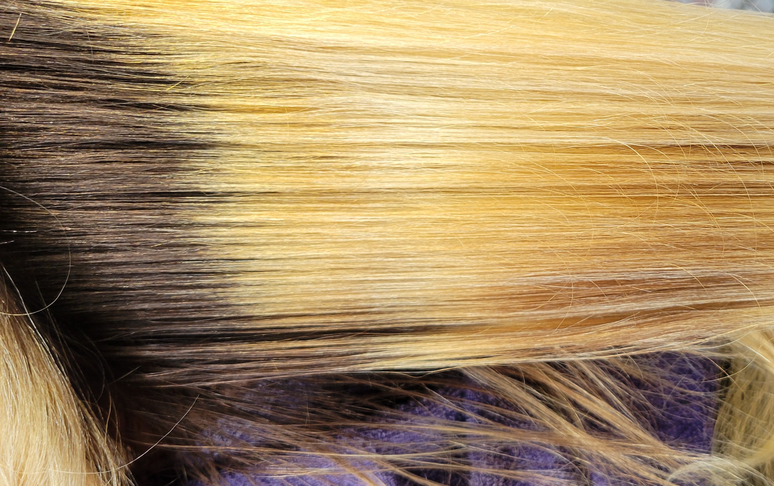 Hair Color Correction Service