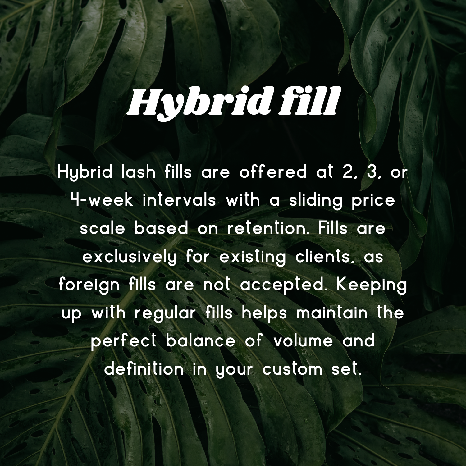 Hybrid Lash Fill