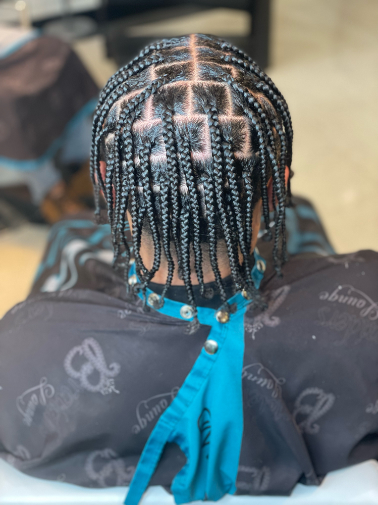 Individual Braids Half Head/Medium