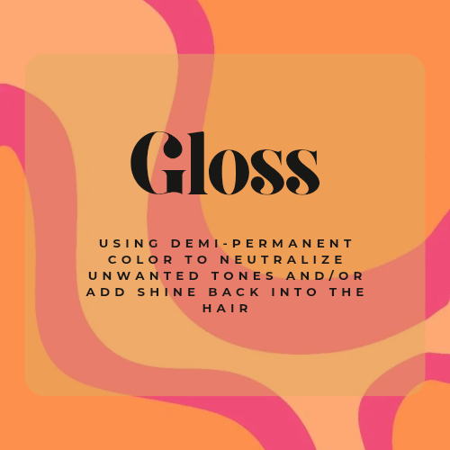 Gloss at Eco Hair + Beauty in Chesterfield, MI