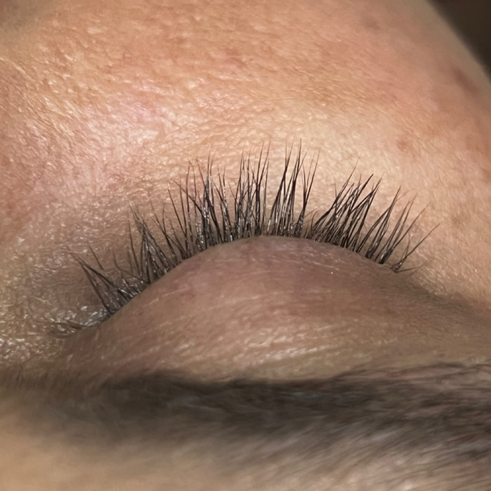 Lash Serum For Extentions at Lashesbysaletha in Ider, AL