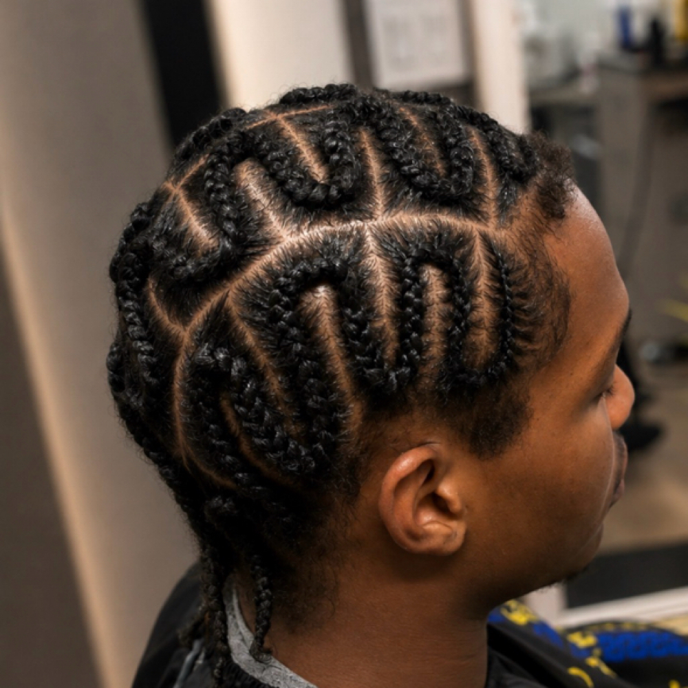 Snake Braids at StylesByHer in King Of Prussia, PA
