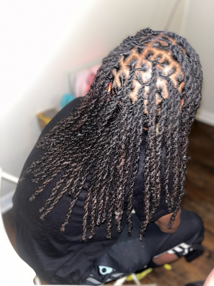 Two Strand Twist