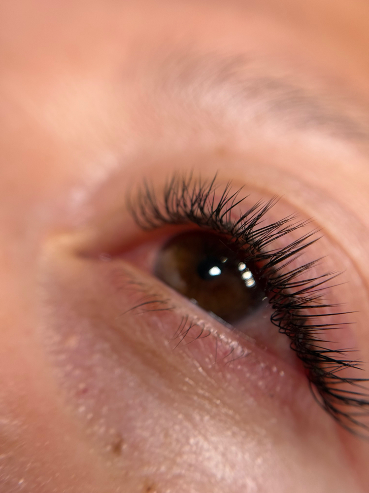 Eyelash extensions 2D