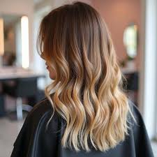 Balayage/ Ombre Bra Length