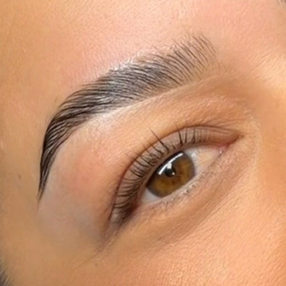 Brow Lamination at Tracy WellBeing Retreat & Salon in Tracy, CA