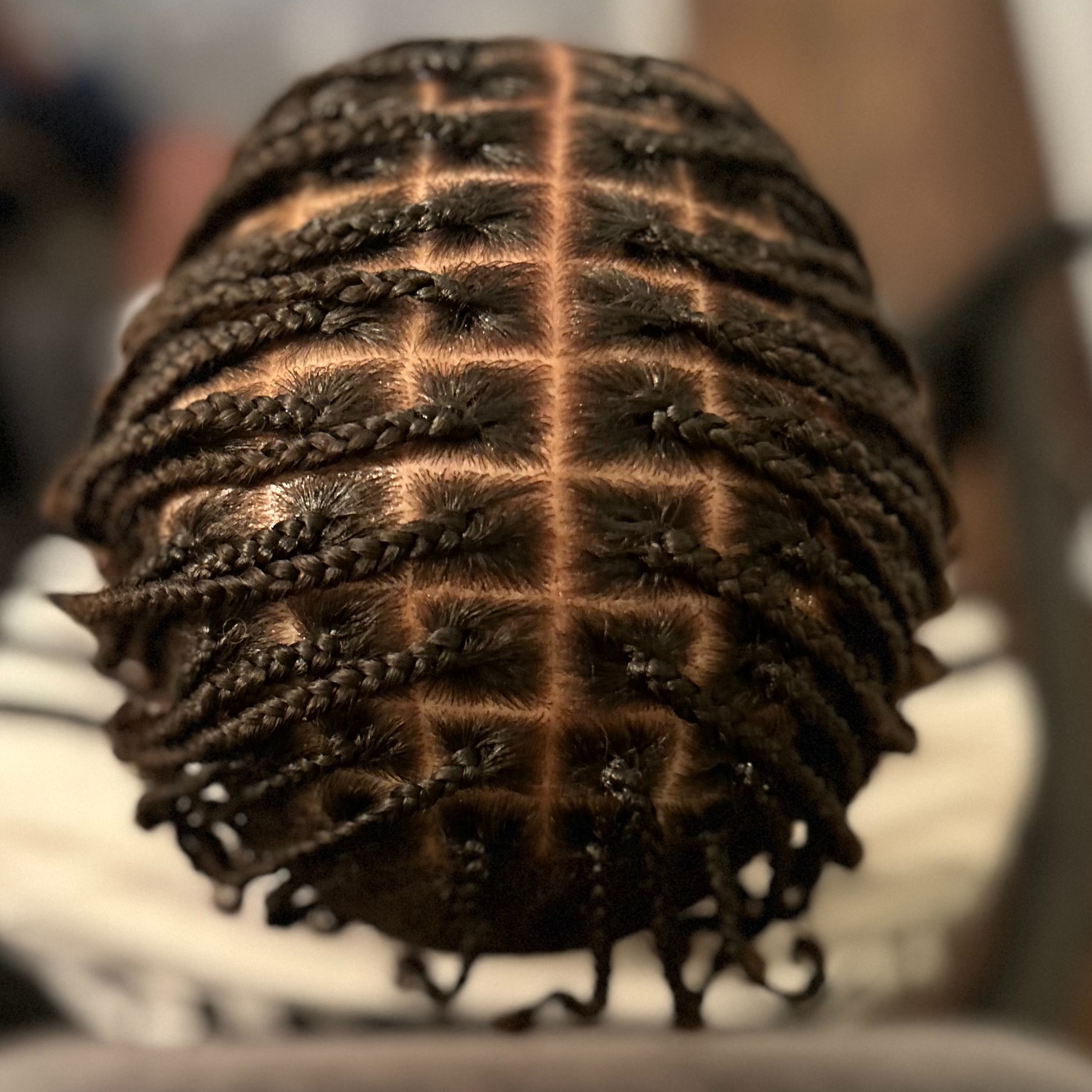 Plaits at Vee’s Loc And Braid Studio in Tampa, FL