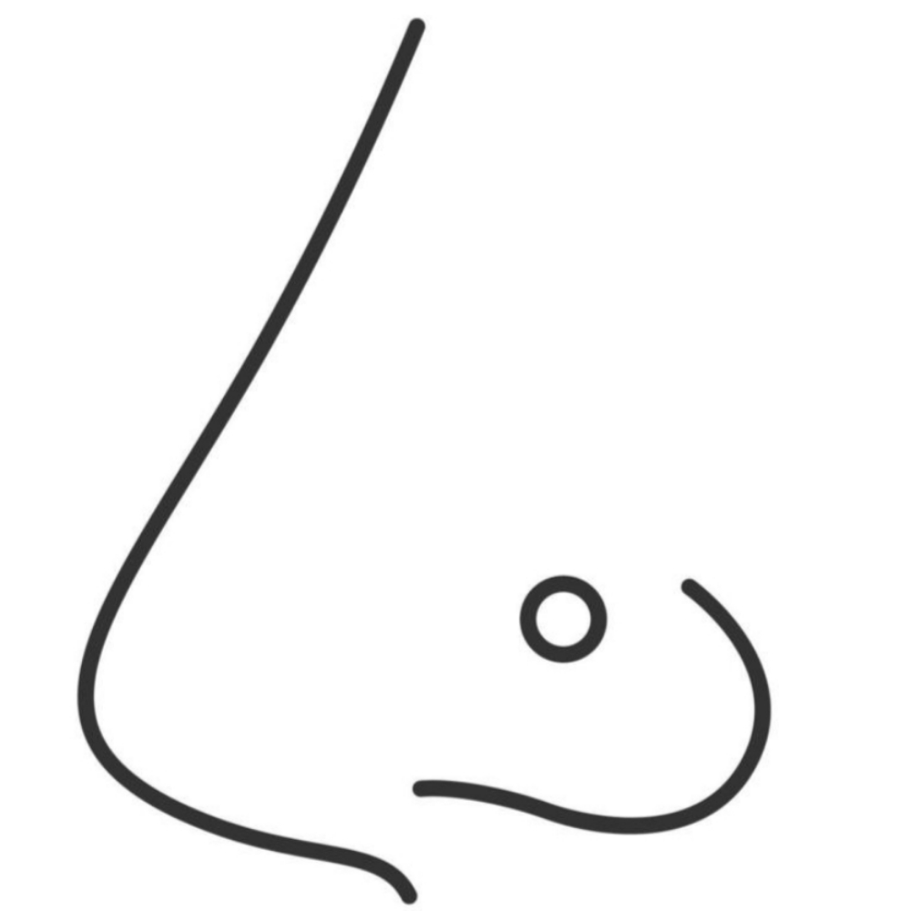 Nose Piercing at The Lash & Brow Room, LLC in Natrona Heights, PA