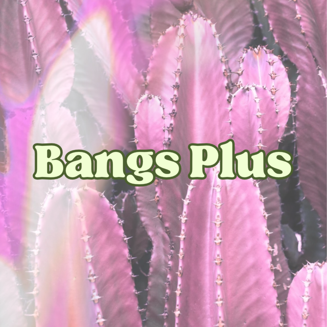 Bangs Plus at Hailey Kay Hair in Minneapolis, MN