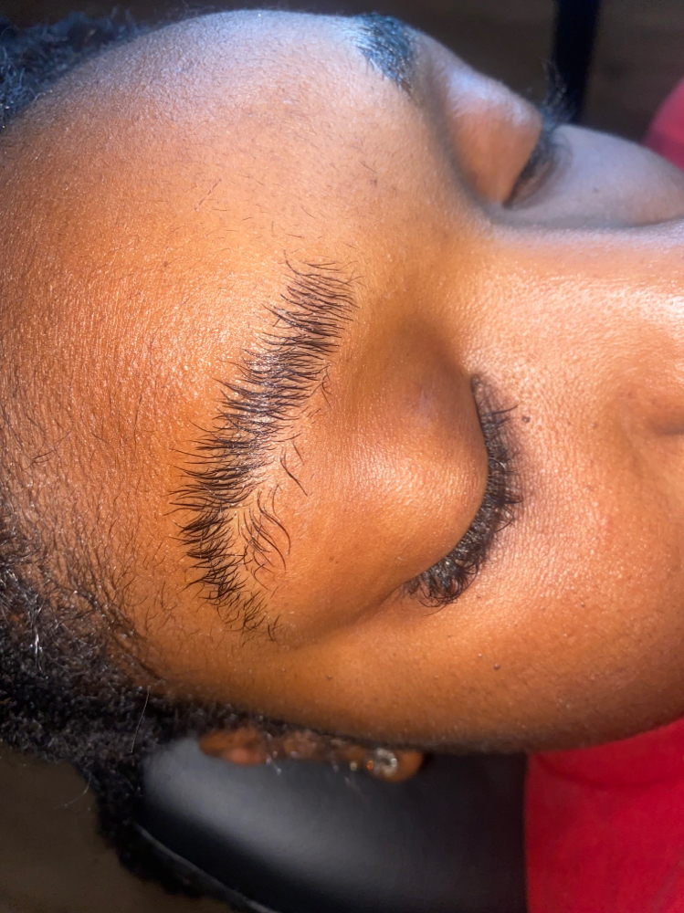 Brow Lamination