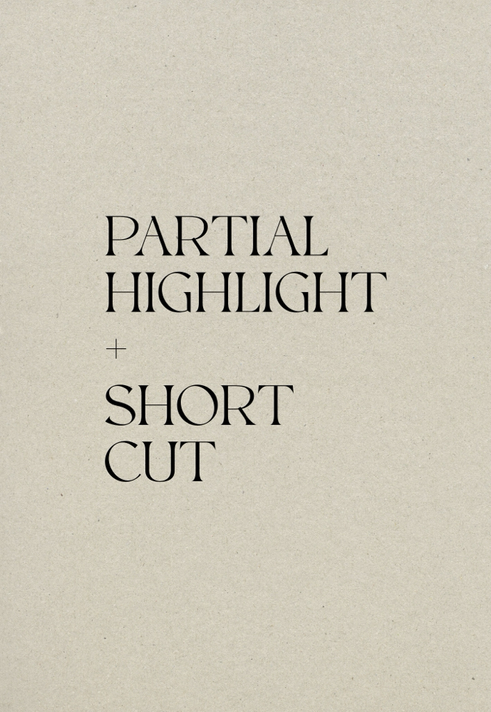 Partial Highlight + Haircut (short)