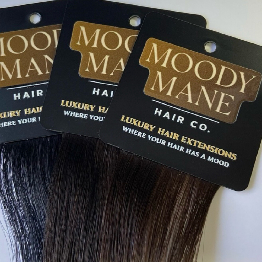 Moody Mane Hair Extension at Dominion Salon in Fresno, CA