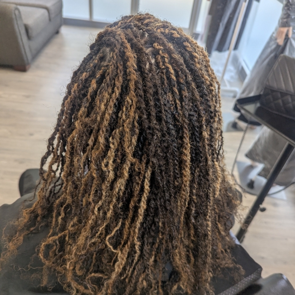 XSmall Kinky Twist at Bestlady Fashions in Hoover, AL