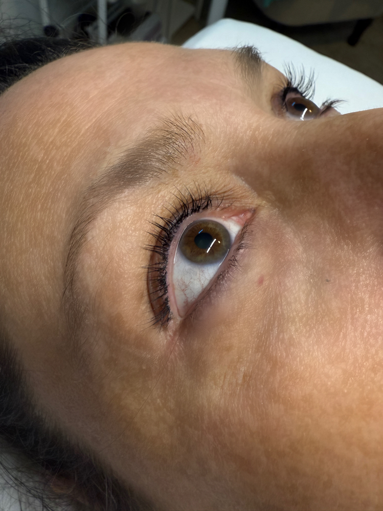 Lash Tinting Service