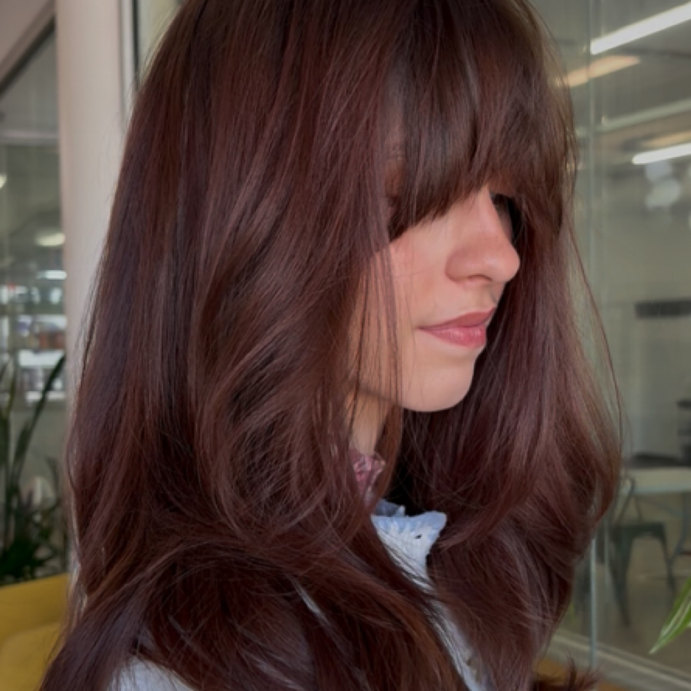 Root Touch Up + Cut at olivia@thegirlhouse in Springfield, MO