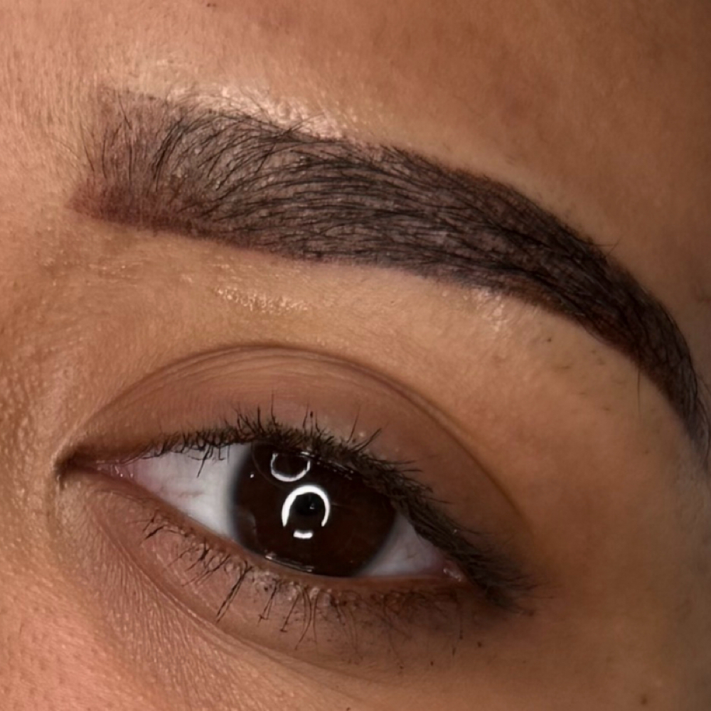 OMBRE POWDER BROWS at Rose Face Theory in Dublin, PA
