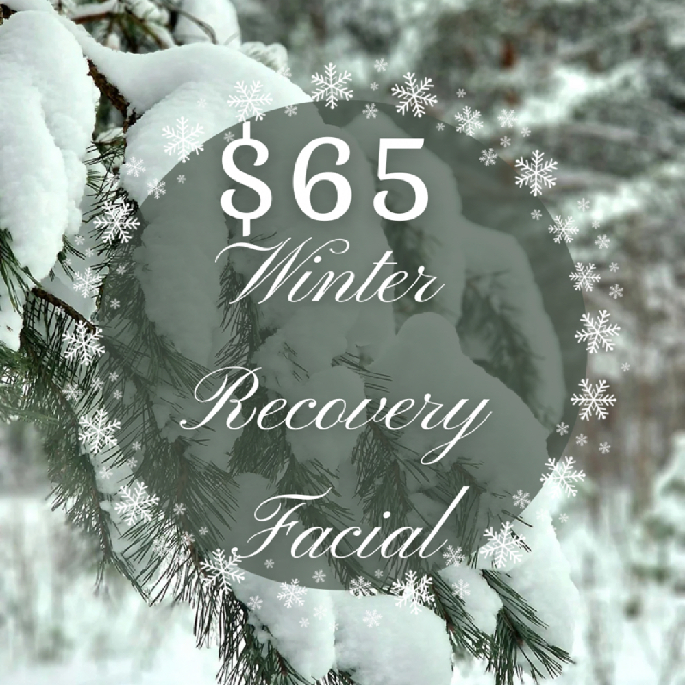 Winter Recovery Facial at Magnolia & Moss Esthetics by Vanessa Burton in Somerset, KY