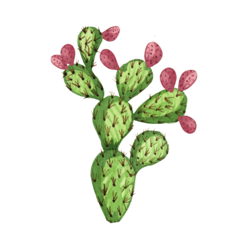 Full Leg Wax at Saddle Up Waxing in Burley, ID