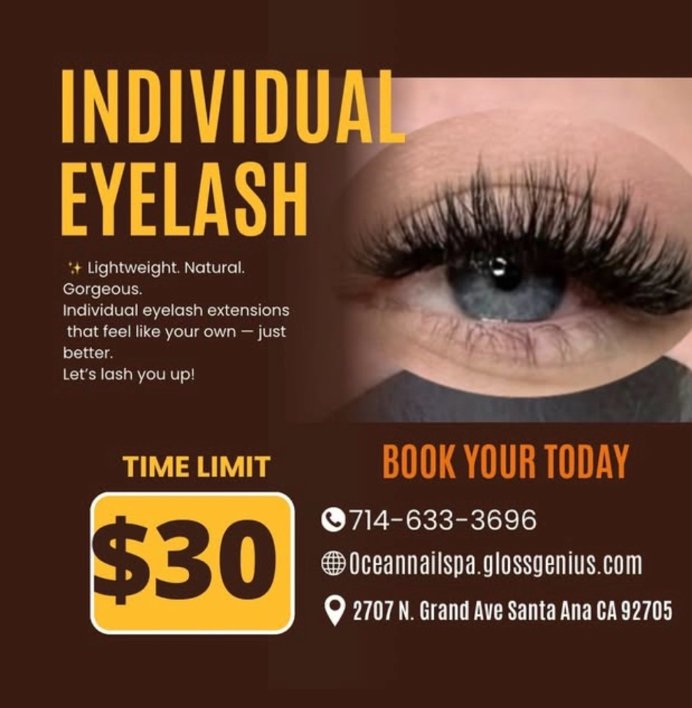 Individual Lash Special $30