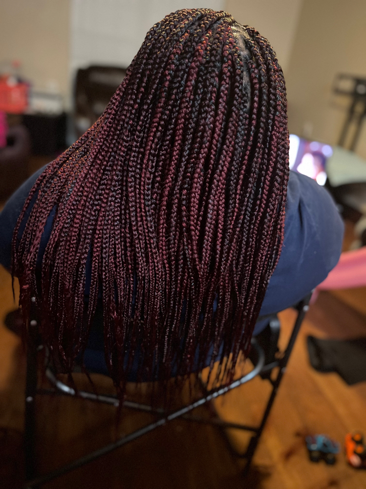 Small Box Braids