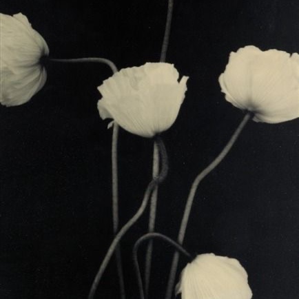 Firming Peptide Ritual at Ceremony Esthetics and Wellness in South Pasadena, CA