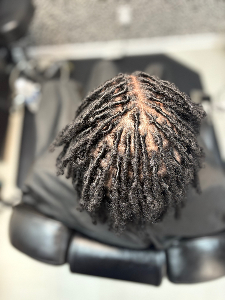 Traditional Locs, Short - Medium