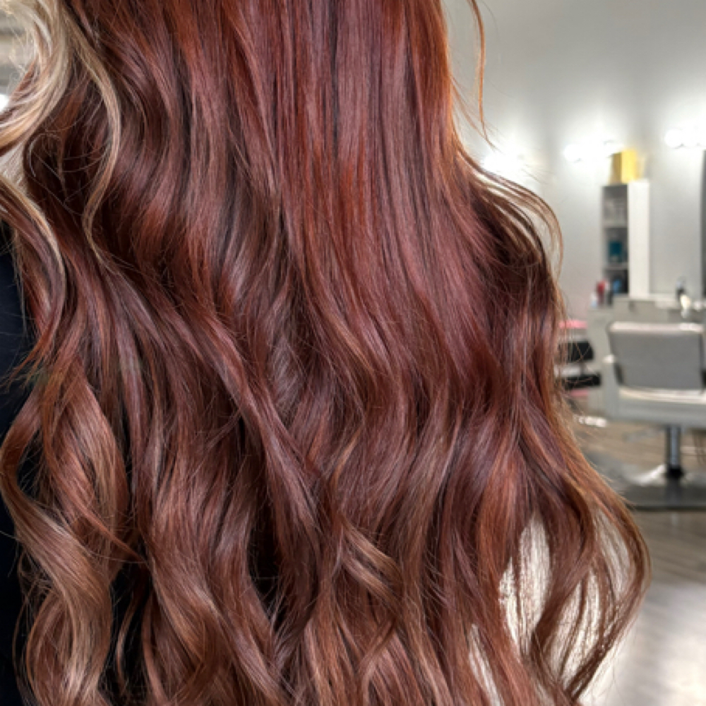 Solid Color Refresh at The Look Beauty Lounge in Bakersfield, CA